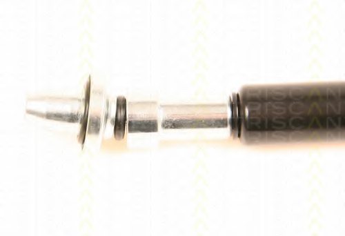 TRISCAN 8710 38217 Gas Spring, rear windscreen